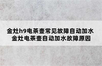 金灶h9电茶壶常见故障自动加水 金灶电茶壶自动加水故障原因